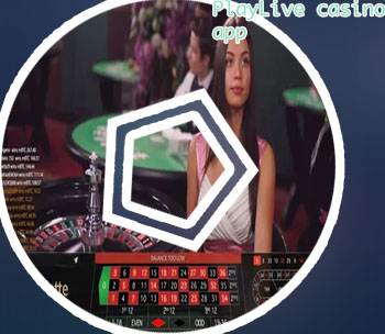 Playlive casino app